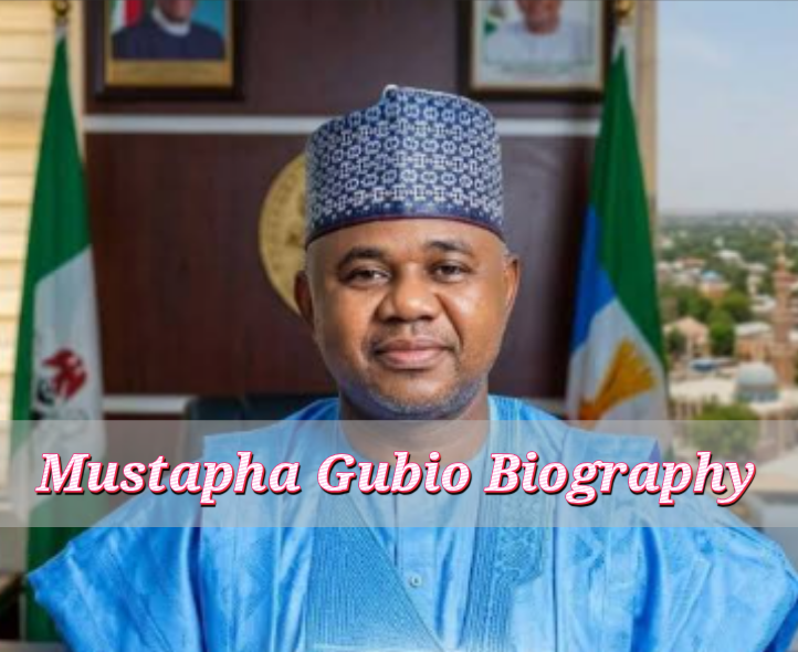 Engr. Alhaji Mustapha Gubio Biography